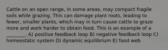 Cattle on an open range, in some areas, may compact fragile soils while grazing. This can damage plant roots, leading to fewer, smaller plants, which may in turn cause cattle to graze more and work harder to obtain food. This is an example of a ________. A) positive feedback loop B) negative feedback loop C) homeostatic system D) dynamic equilibrium E) food web