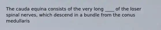 The cauda equina consists of the very long ____ of the loser spinal nerves, which descend in a bundle from the conus medullaris