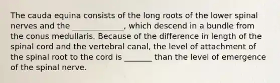 The cauda equina consists of the long roots of the lower <a href='https://www.questionai.com/knowledge/kyBL1dWgAx-spinal-nerves' class='anchor-knowledge'>spinal nerves</a> and the _____________, which descend in a bundle from the conus medullaris. Because of the difference in length of <a href='https://www.questionai.com/knowledge/kkAfzcJHuZ-the-spinal-cord' class='anchor-knowledge'>the spinal cord</a> and the vertebral canal, the level of attachment of the spinal root to the cord is _______ than the level of emergence of the spinal nerve.