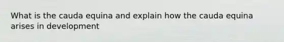 What is the cauda equina and explain how the cauda equina arises in development