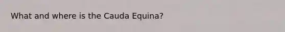 What and where is the Cauda Equina?