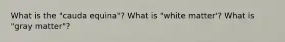 What is the "cauda equina"? What is "white matter'? What is "gray matter"?