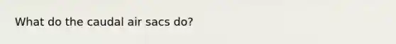 What do the caudal air sacs do?