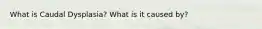 What is Caudal Dysplasia? What is it caused by?