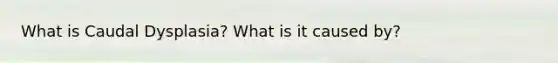 What is Caudal Dysplasia? What is it caused by?
