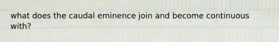 what does the caudal eminence join and become continuous with?