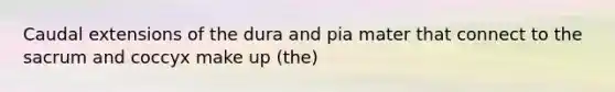 Caudal extensions of the dura and pia mater that connect to the sacrum and coccyx make up (the)