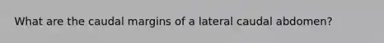 What are the caudal margins of a lateral caudal abdomen?