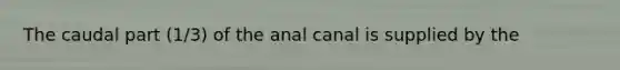 The caudal part (1/3) of the anal canal is supplied by the