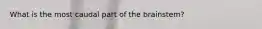 What is the most caudal part of the brainstem?