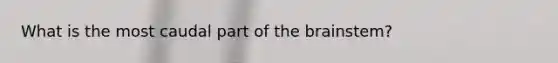 What is the most caudal part of <a href='https://www.questionai.com/knowledge/kLMtJeqKp6-the-brain' class='anchor-knowledge'>the brain</a>stem?