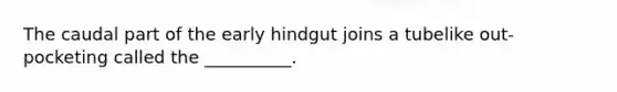 The caudal part of the early hindgut joins a tubelike out-pocketing called the __________.