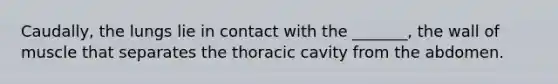 Caudally, the lungs lie in contact with the _______, the wall of muscle that separates the thoracic cavity from the abdomen.