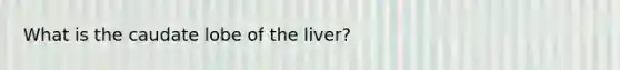 What is the caudate lobe of the liver?