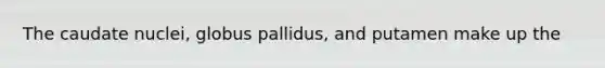 The caudate nuclei, globus pallidus, and putamen make up the