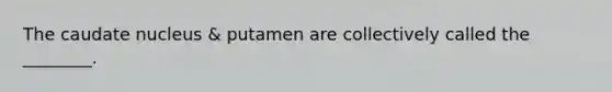 The caudate nucleus & putamen are collectively called the ________.