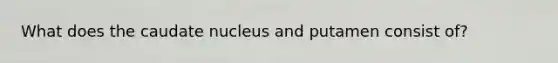 What does the caudate nucleus and putamen consist of?