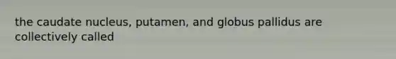 the caudate nucleus, putamen, and globus pallidus are collectively called