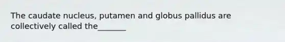 The caudate nucleus, putamen and globus pallidus are collectively called the_______