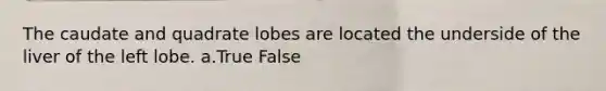 The caudate and quadrate lobes are located the underside of the liver of the left lobe. a.True False