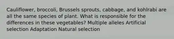 Cauliflower, broccoli, Brussels sprouts, cabbage, and kohlrabi are all the same species of plant. What is responsible for the differences in these vegetables? Multiple alleles Artificial selection Adaptation Natural selection