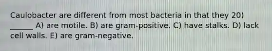 Caulobacter are different from most bacteria in that they 20) ______ A) are motile. B) are gram-positive. C) have stalks. D) lack cell walls. E) are gram-negative.