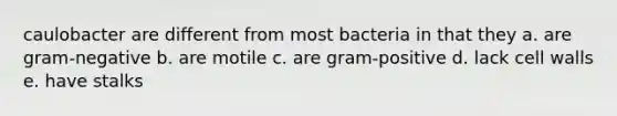 caulobacter are different from most bacteria in that they a. are gram-negative b. are motile c. are gram-positive d. lack cell walls e. have stalks