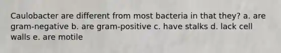 Caulobacter are different from most bacteria in that they? a. are gram-negative b. are gram-positive c. have stalks d. lack cell walls e. are motile