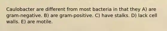 Caulobacter are different from most bacteria in that they A) are gram-negative. B) are gram-positive. C) have stalks. D) lack cell walls. E) are motile.