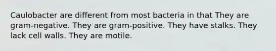 Caulobacter are different from most bacteria in that They are gram-negative. They are gram-positive. They have stalks. They lack cell walls. They are motile.