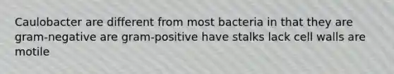 Caulobacter are different from most bacteria in that they are gram-negative are gram-positive have stalks lack cell walls are motile