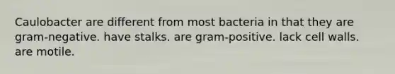 Caulobacter are different from most bacteria in that they are gram-negative. have stalks. are gram-positive. lack cell walls. are motile.