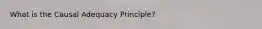 What is the Causal Adequacy Principle?