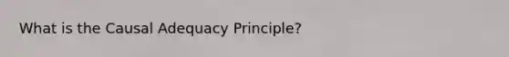 What is the Causal Adequacy Principle?