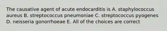 The causative agent of acute endocarditis is A. staphylococcus aureus B. streptococcus pneumoniae C. streptococcus pyogenes D. neisseria gonorrhoeae E. All of the choices are correct