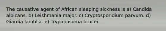 The causative agent of African sleeping sickness is a) Candida albicans. b) Leishmania major. c) Cryptosporidium parvum. d) Giardia lamblia. e) Trypanosoma brucei.