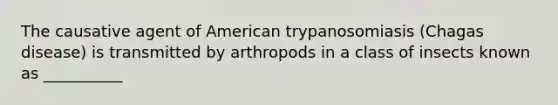 The causative agent of American trypanosomiasis (Chagas disease) is transmitted by arthropods in a class of insects known as __________