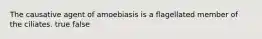 The causative agent of amoebiasis is a flagellated member of the ciliates. true false