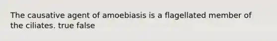 The causative agent of amoebiasis is a flagellated member of the ciliates. true false