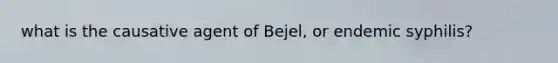 what is the causative agent of Bejel, or endemic syphilis?