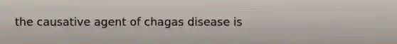 the causative agent of chagas disease is