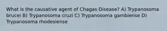 What is the causative agent of Chagas Disease? A) Trypanosoma brucei B) Trypanosoma cruzi C) Trypanosoma gambiense D) Trypanosoma rhodesiense