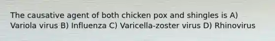 The causative agent of both chicken pox and shingles is A) Variola virus B) Influenza C) Varicella-zoster virus D) Rhinovirus