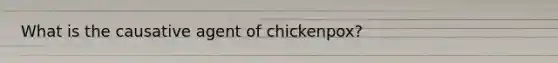 What is the causative agent of chickenpox?