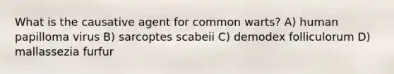 What is the causative agent for common warts? A) human papilloma virus B) sarcoptes scabeii C) demodex folliculorum D) mallassezia furfur