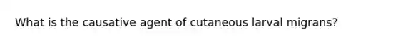 What is the causative agent of cutaneous larval migrans?