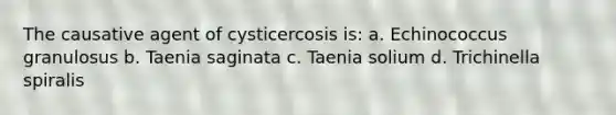 The causative agent of cysticercosis is: a. Echinococcus granulosus b. Taenia saginata c. Taenia solium d. Trichinella spiralis