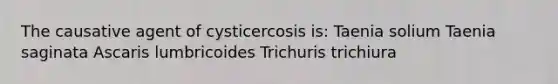 The causative agent of cysticercosis is: Taenia solium Taenia saginata Ascaris lumbricoides Trichuris trichiura