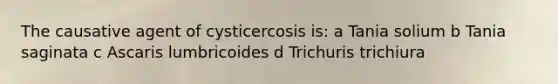 The causative agent of cysticercosis is: a Tania solium b Tania saginata c Ascaris lumbricoides d Trichuris trichiura