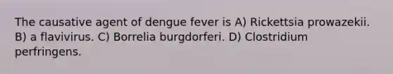 The causative agent of dengue fever is A) Rickettsia prowazekii. B) a flavivirus. C) Borrelia burgdorferi. D) Clostridium perfringens.